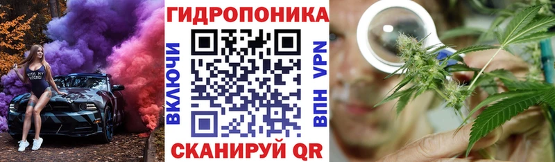 Продажа наркотиков Киселёвск Бошки Шишки ОМГ ОМГ ТОР Гашиш МЕФ Кокаин APVP