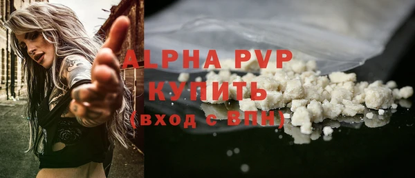 сатива Каменногорск