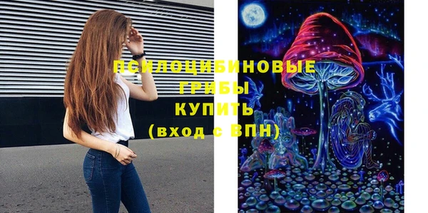 сатива Каменногорск