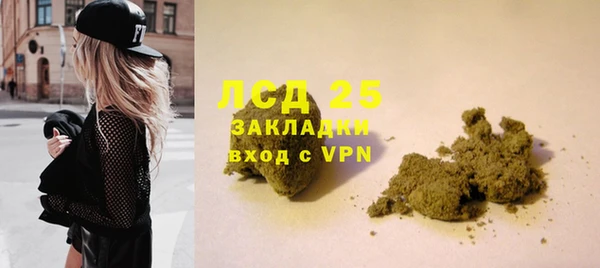 сатива Каменногорск