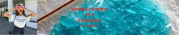сатива Каменногорск