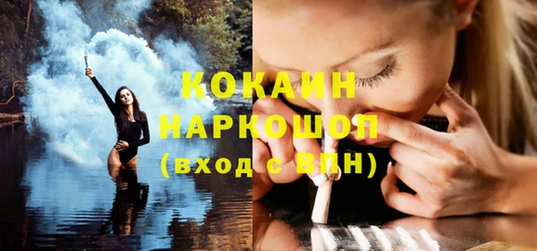 сатива Каменногорск