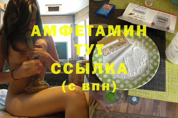 сатива Каменногорск