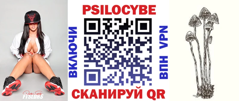 Галлюциногенные грибы Psilocybe цена Киселёвск